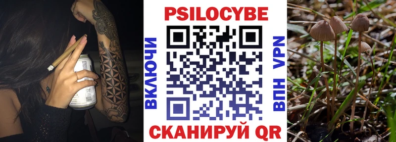 KRAKEN ССЫЛКА Пыть-Ях Псилоцибиновые грибы Psilocybine cubensis где продают наркотики